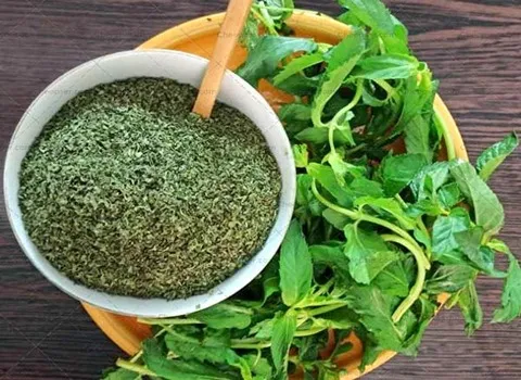 نعنا خشک تازه و خرید و قیمت بهترین نوع آن