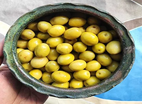 معرفی انواع زیتون کنسروی + بهترین قیمت خرید