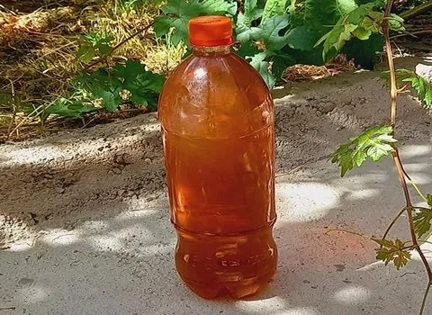 خرید جدیدترین انواع سرکه سیب کارخانه ای از معتبرترین برندهای دنیا