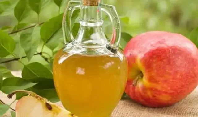 قیمت سرکه سیب خانگی اعلا