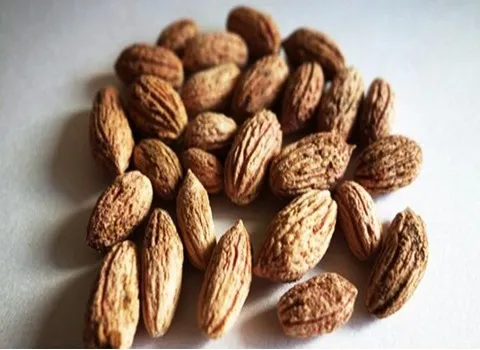 قیمت خرید دانه زیتون سبز + خواص، معایب و مزایا