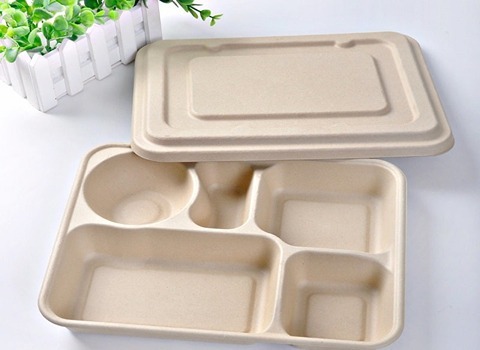 ظرف یکبار مصرف فینگرفود؛ درب دار بدون درب 3 جنس پلاستیک کاغذ آلومینیوم