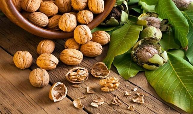 قیمت گردو شیلی
