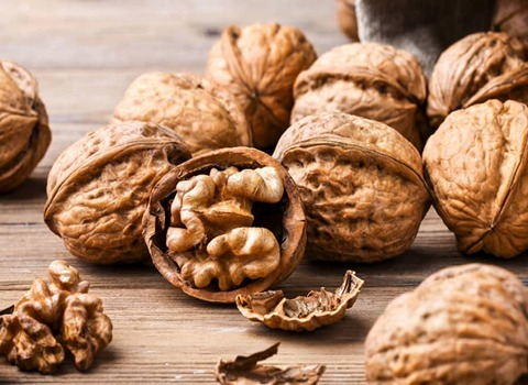 گردو فسنجانی تویسرکان؛ کاغذی نازک شکننده طبع گرم خشک walnut