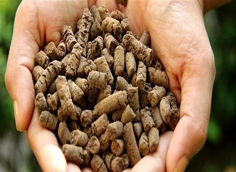 قیمت خرید کود مرغی اصل + مشخصات، عمده ارزان