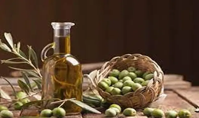 زیتون خام عمده؛ پرورده هسته دار بدون هسته سالم یکدست