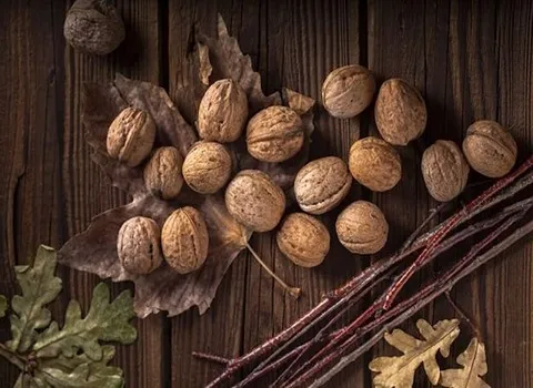 گردو درجه یک قوچان؛ پوست کاغذی ارگانیک 3 کاربرد فسنجان کوکو ته چین