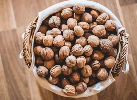 گردو صورتی؛ توسرخ پوسته ضخیم حاوی فسفر پروتئین کلسیم