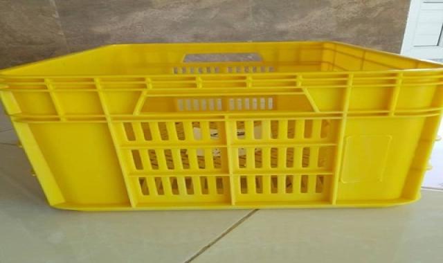 خرید و قیمت سبد پلاستیکی حمل ماهی