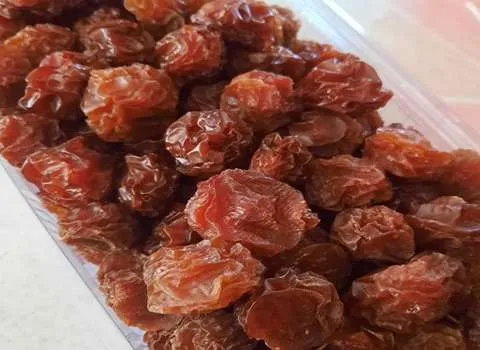 قیمت آلوچه خشک مراغه از تولید به مصرف