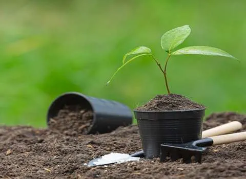 کود ارگانیک گیاهان خانگی | خرید با قیمت ارزان