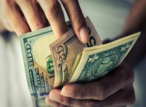 15 شغل با درآمد میلیونی در روستا | راهنمای کامل