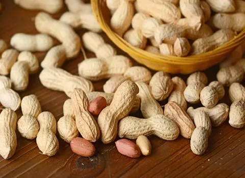 بادام زمینی یک کیلویی؛ طبیعی درجه یک خاصیت درمان بیماری