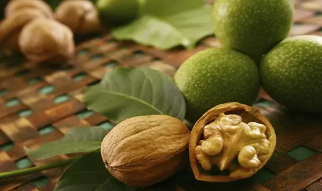 خرید گردو تازه با پوست + قیمت عالی با کیفیت تضمینی