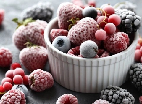 مشخصات میوه خشک یخ زده و نحوه خرید عمده