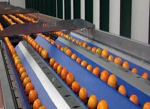 قیمت خرید دستگاه سورت میوه + راهنمای استفاده