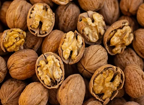 مرجع قیمت انواع گردو کردستان + خرید ارزان