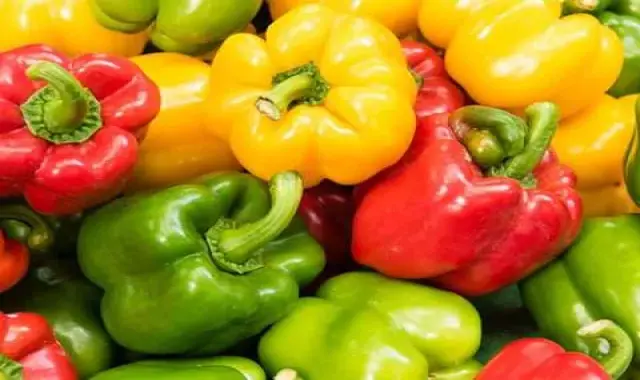 فلفل دلمه صادراتی امروز؛ سبز زرد قرمز 3 طعم تلخ تند تیز