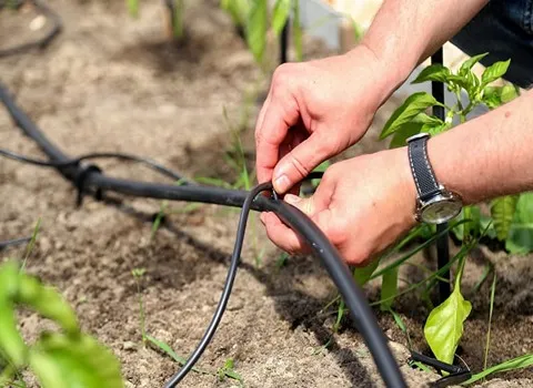 لوله های پلی اتیلن کشاورزی؛ جنس پلی اتیلن 2 نوع (قطره ای ساده)