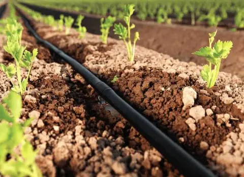 نوار تیپ آبیاری قطره ای | خرید با قیمت ارزان