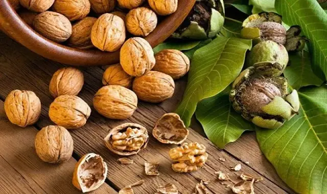 بهترین خواص گردو تازه + قیمت خرید عالی