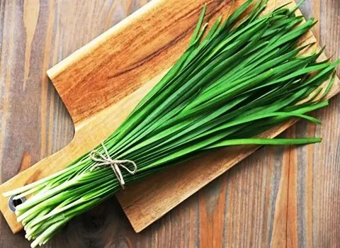 طبع سبزی تره کوهی | خرید با قیمت ارزان