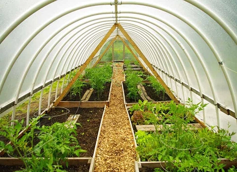 لوله پلیکا جهت گلخانه؛ سفید رنگ انعطاف پذیری بالا + نصب آسان