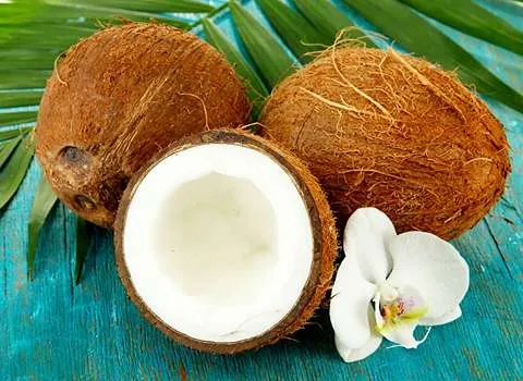 خرید و قیمت روز نارگیل در بازار امروز