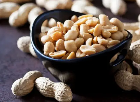 بادام زمینی سرکه ای کیلویی؛ وکیوم درشت ارگانیک ترد شکننده Peanut