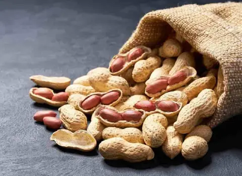 خرید بادام زمینی غلاف دار شور + بهترین قیمت