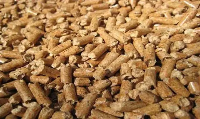 تفاله چغندر مشهد؛ فسفر هضم آسان منبع تغذیه دام sugar Loaf