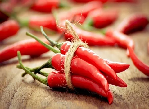 قیمت خرید فلفل قرمز تند + عکس