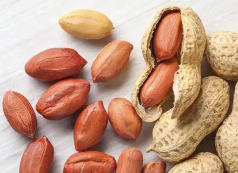 بهترین قیمت خرید بادام زمینی درشت