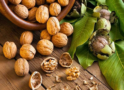 گردو کاغذی خارجی؛ درشت پوسته روشن تر کاغذی