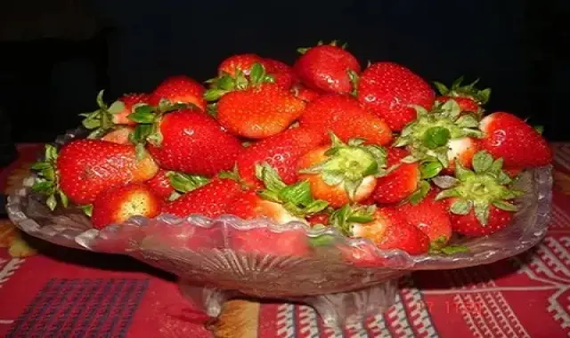 قیمت میوه توت فرنگی به صورت تازه