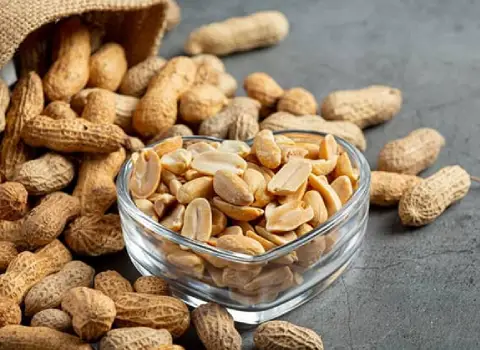 بادام زمینی خام یا بو داده؛ مصرف دارویی (بسته بندی فله) peanut