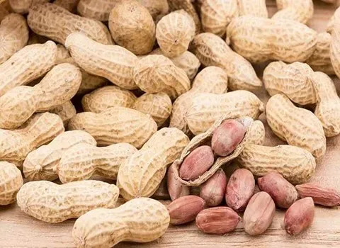 بادام زمینی پفکی؛ نمکی سرکه ای شکلاتی حاوی پتاسیم درمان کلسترول خون