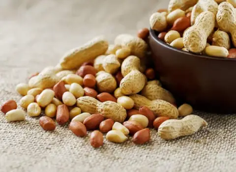 بهترین قیمت بادام زمینی امساله