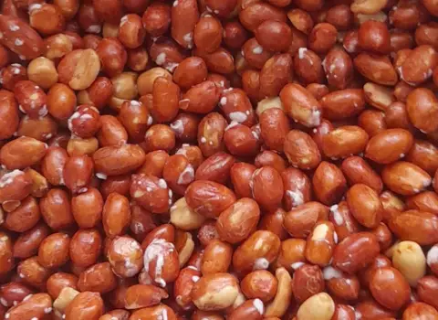 بادام زمینی ریز لعابی؛ سلامت مو افزایش سطح کلسترول ویتامین (E B)