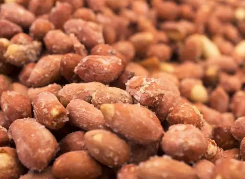 بادام زمینی نمکی؛ طعم شور دارای فیبر بالا حاوی پروتئین Salted