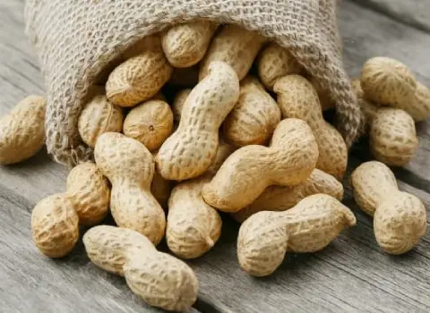 بادام زمینی برای معده؛ تقویت قلب (200 400) گرم شیره ای قرمز