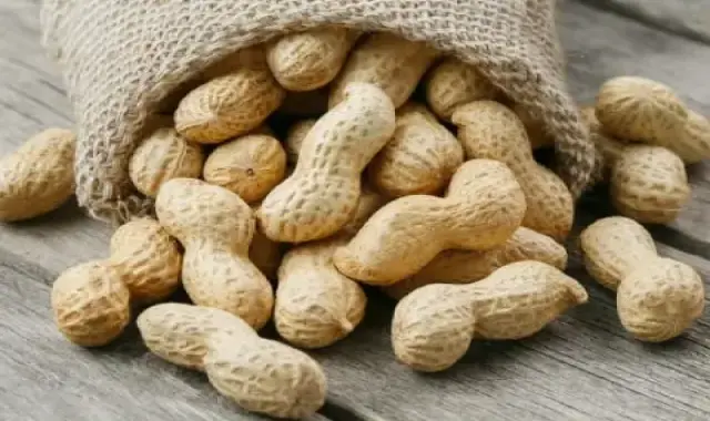 بادام زمینی برای معده؛ تقویت قلب (200 400) گرم شیره ای قرمز