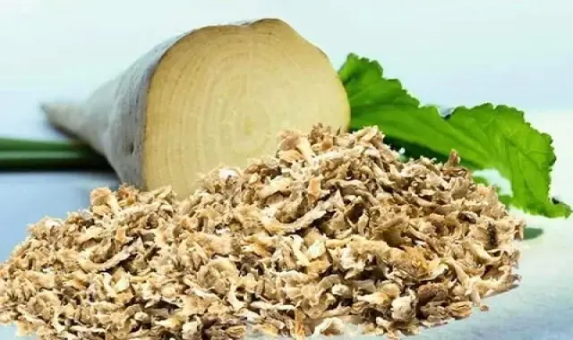 تفاله چغندر کرمانشاه؛ منبع غنی فیبر پروتئین رنگ قهوه ای