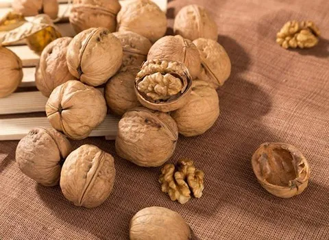 گردو پوست کاغذی آذرشهر؛ رنگ سفید ویتامین (C B) چربی سوز آذربایجان شرقی