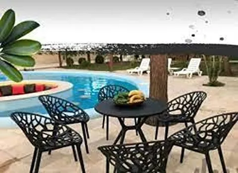 قیمت خرید زیتون پرورده شمالی + طرز تهیه