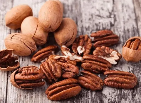گردو آمریکایی پکان؛ کاغذی نازک حاوی ویتامین (E B) فیبر Pecans