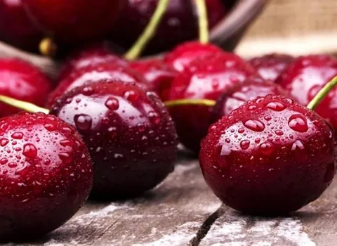 قیمت گیلاس تکدانه خوشه ای از تولید به مصرف