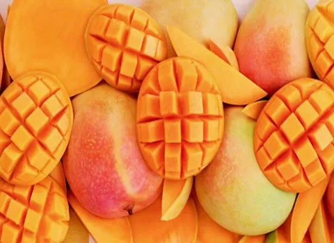 خرید بهترین انواع انبه شمالی با قیمت ارزان