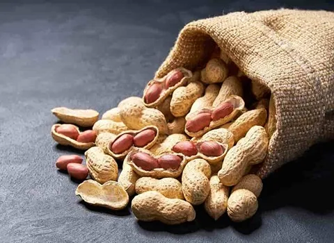 بادام زمینی در شیراز؛ کنترل قند خون تامین انرژی حاوی فیبر ویتامین E