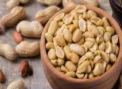 بادام زمینی عراقی؛ روغنی گرم خشک کاهش چربی عمده فله